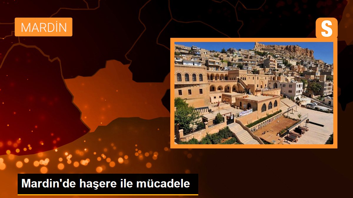 Mardin\'de haşere ile mücadele