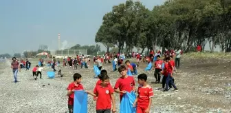 Mersin'de deniz kaplumbağalarının yaşam alanı temizlendi