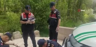 Salyangoz avcısı jandarmaya yakalandı