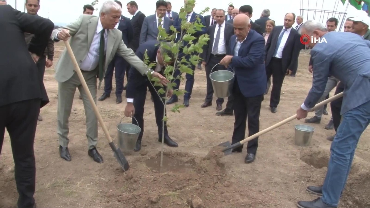 Tarım ve Orman Bakanı Kirişci, Cebrayıl\'da fidan dikti