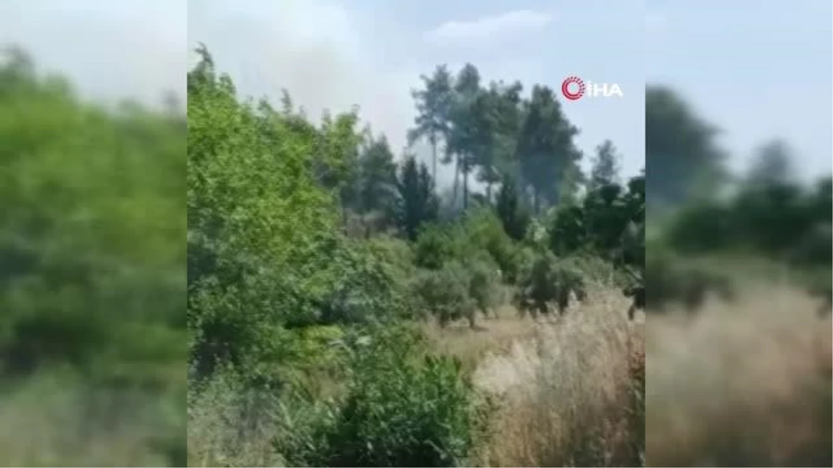 Antalya\'da orman yangını büyümeden söndürüldü