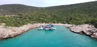 Bodrum'da Sualtı Sergisi Açıldı