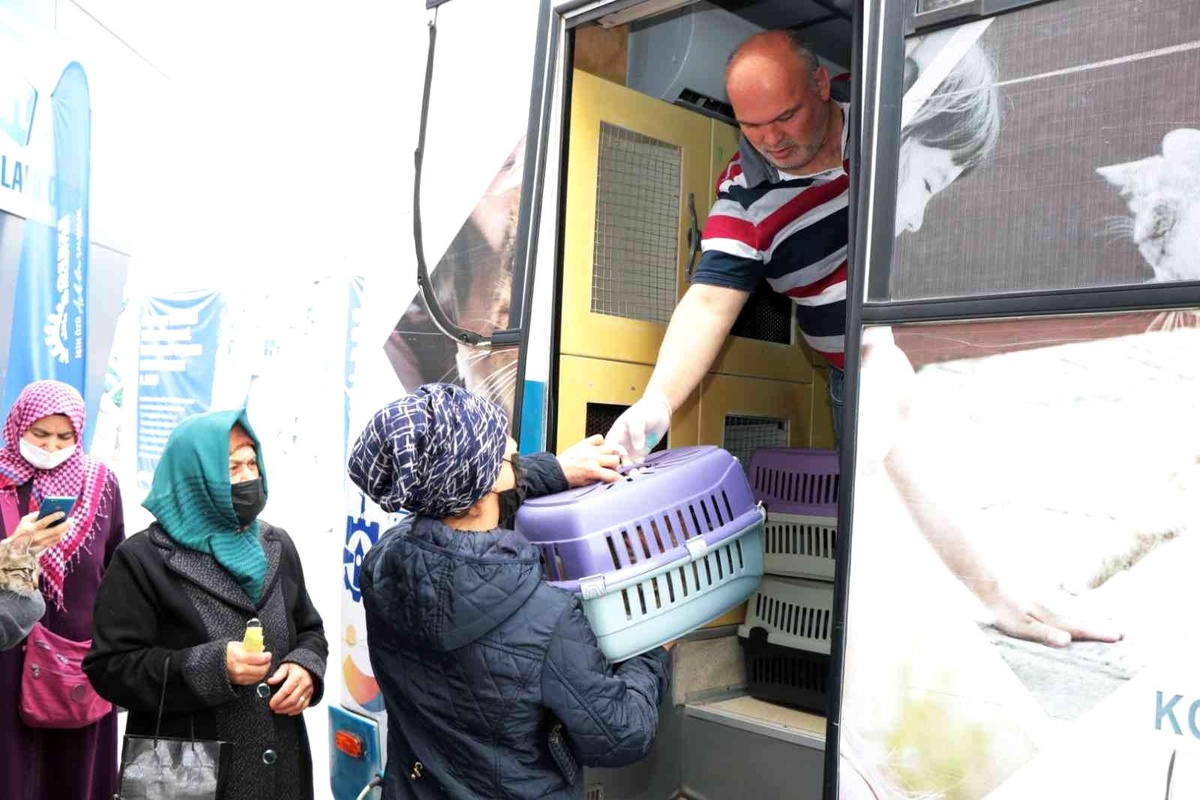 Büyükşehirden sokak hayvanlarına mobil kısırlaştırma