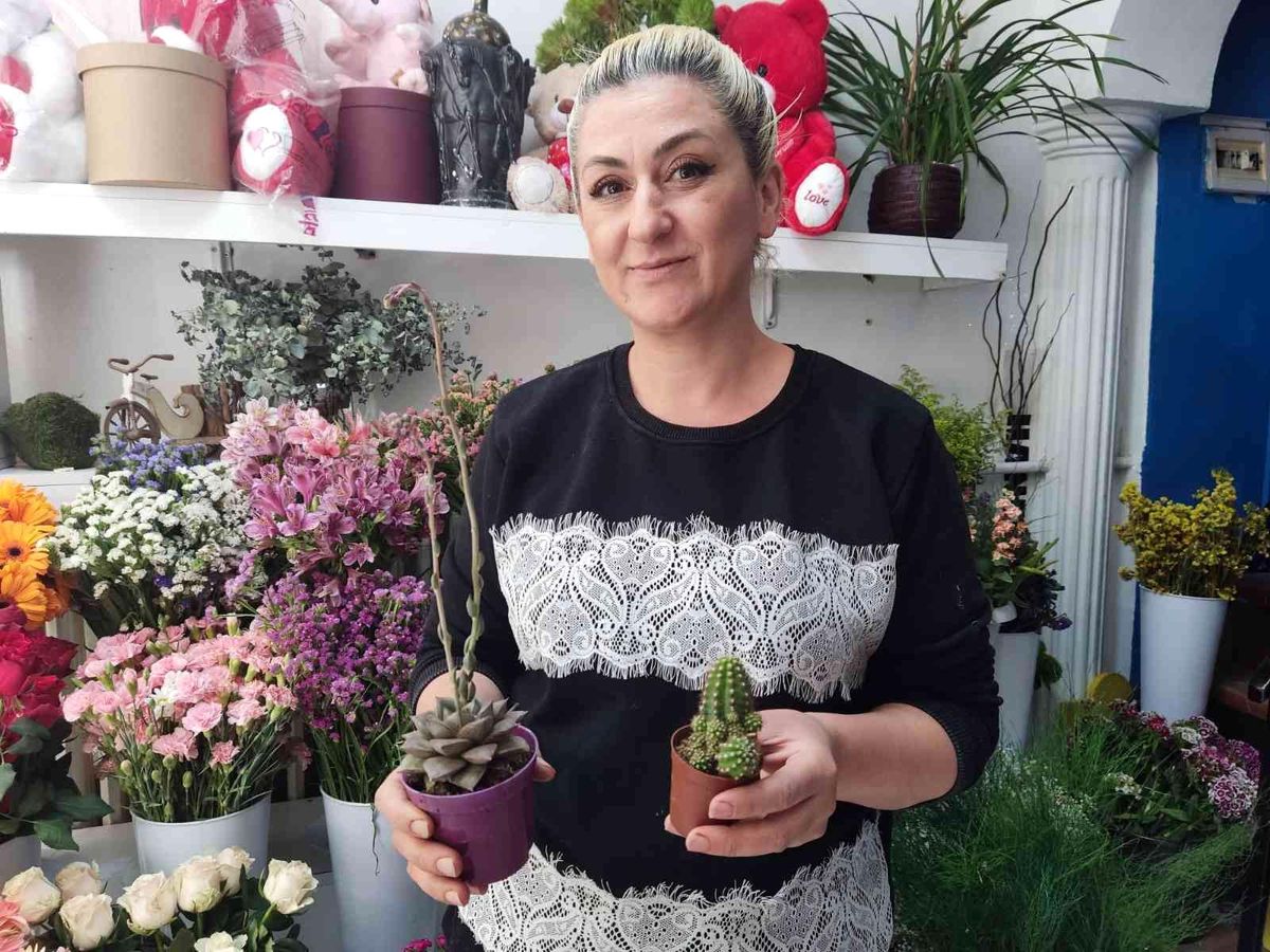Çiçekseverlerin yaz tercihi: \'Sukulent\'