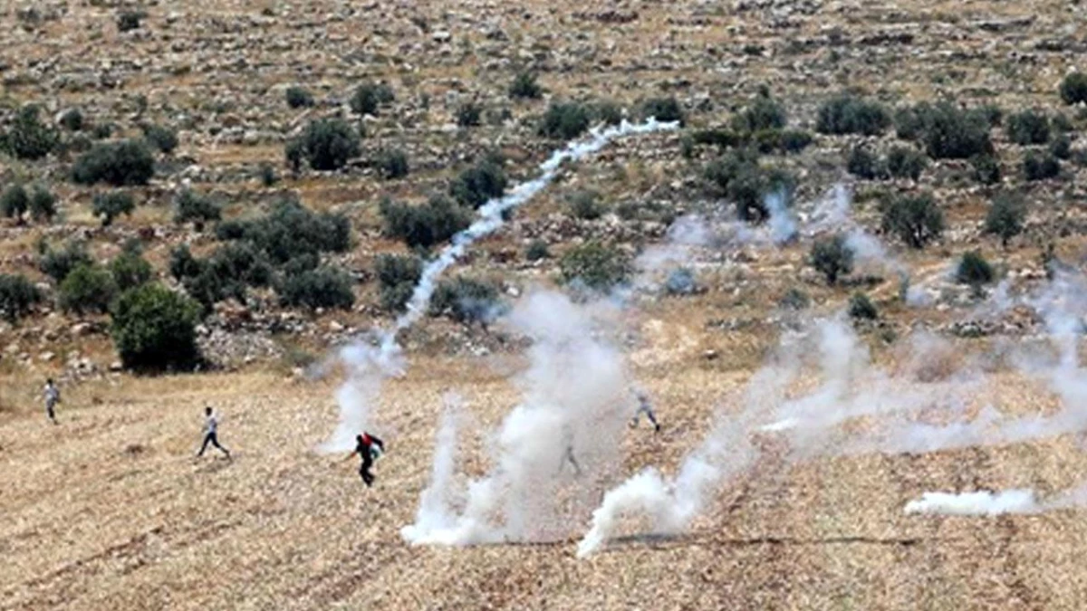 Fotoğraf: Batı Şeria\'nın Beit Dajan Köyünde Protestocular İsrail Askeriyle Çatıştı