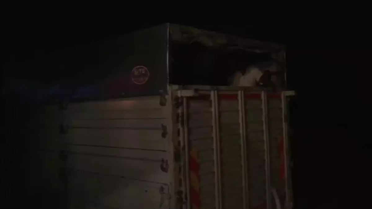 İzmir'de 3,6 Ton Çürümüş At Eti Ele Geçirildi. Gıda Mühendisleri Odası: 'Alım Gücünü Artırmazsak Bu Kaçak Kesimleri Daha Çok Göreceğiz'