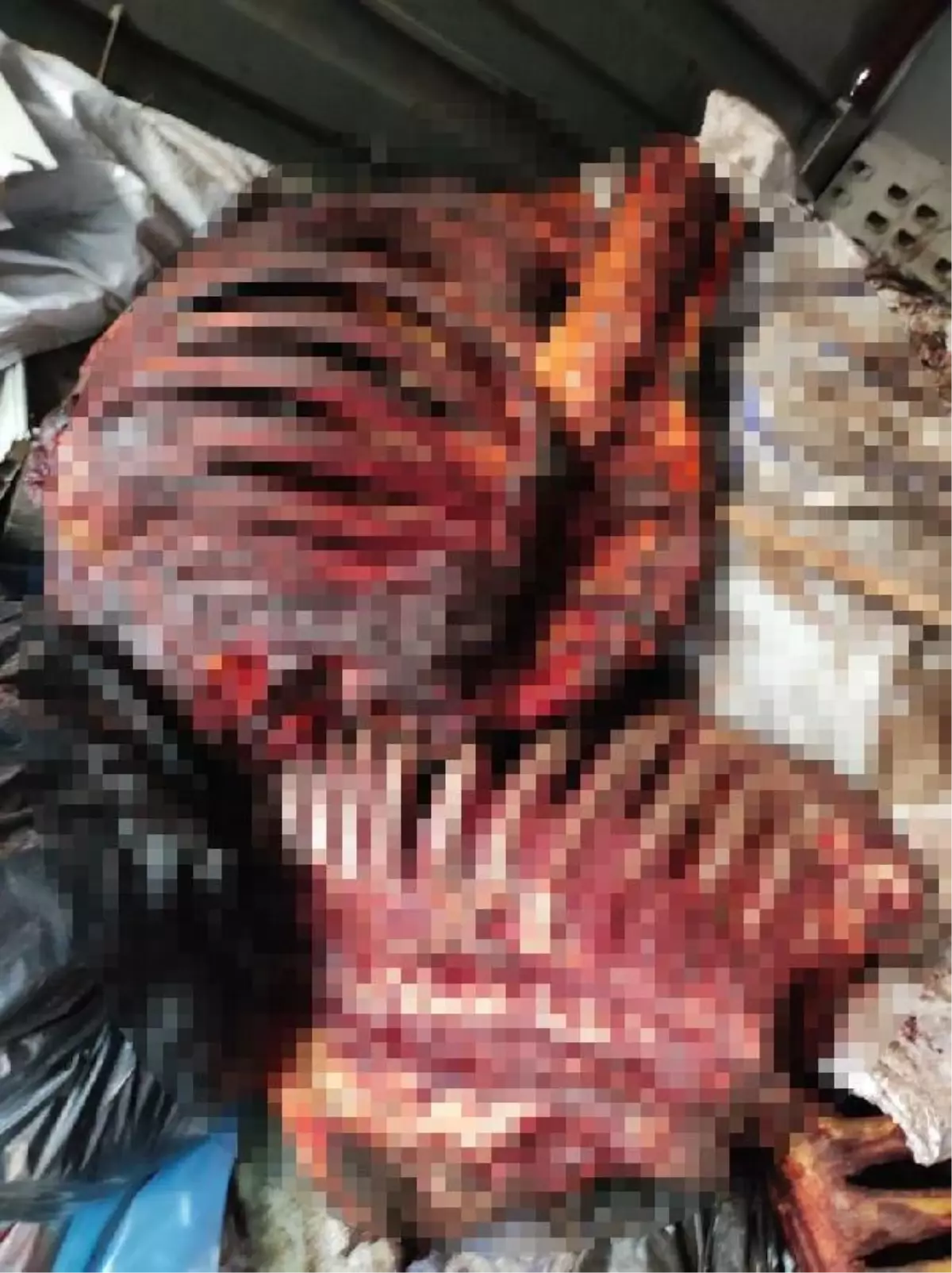 İZMİR\'DE 5 TON 860 KİLO TEK TIRNAKLI HAYVAN ETİ ELE GEÇİRİLDİ