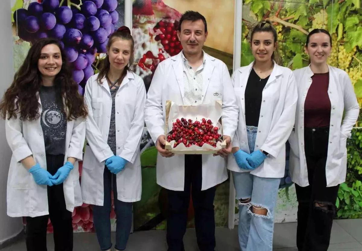 Sultaniye üzümü güvenle tüketilebilecek