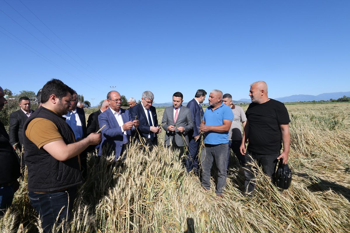 Şiddetli dolu yağışında 40 bin dekar tarım arazisinin zarar gördüğü tespit edildi