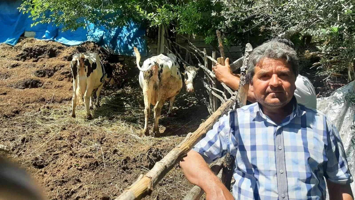 Osmaniye\'de köylülerden ucuz süt fiyatına tepki