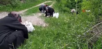 Sezon başladı, ailecek tek tek elleriyle topluyorlar