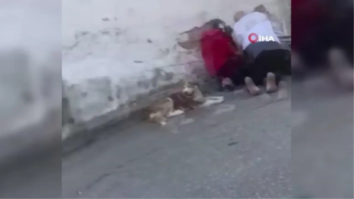 Sokak ortasında silahlı, bıçaklı kavga: 1 ölü 3 yaralı