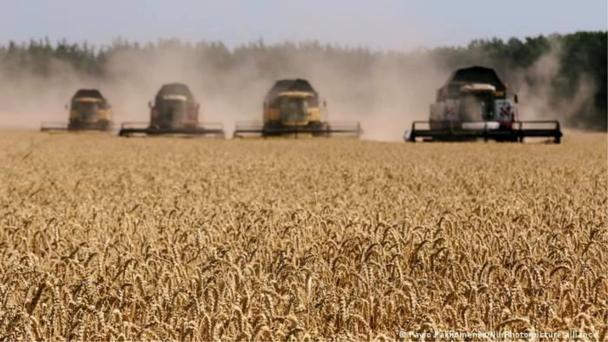 Türkiye buğdayda sıkıntı yaşar mı?