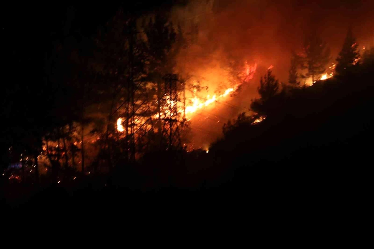 Alanya\'da orman yangınında 3 dekar alan zarar gördü