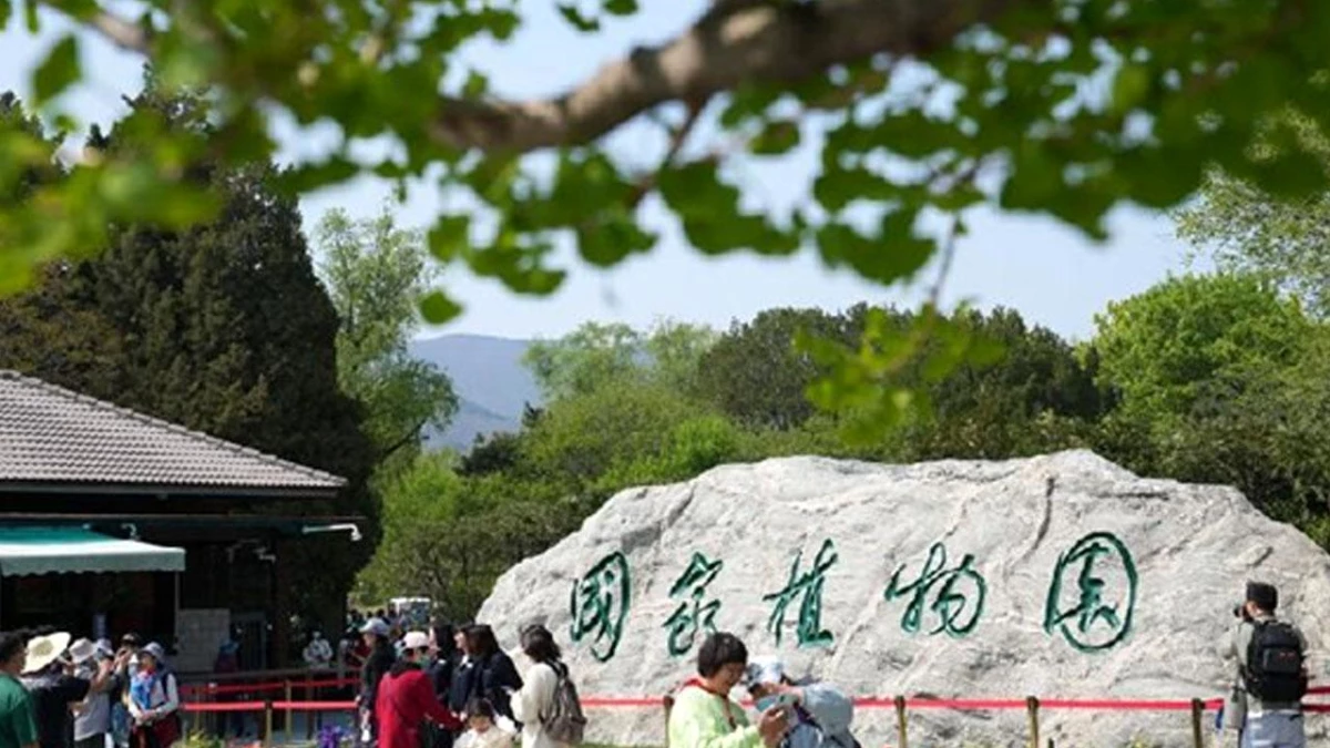 Çin Ulusal Park ve Botanik Bahçesi Sistemlerinin İnşaatını Hızlandıracak