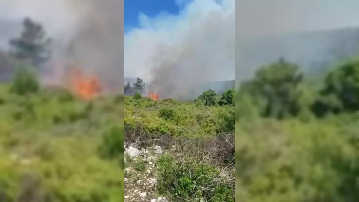 Dikili ve Karaburun'da Orman Yangını