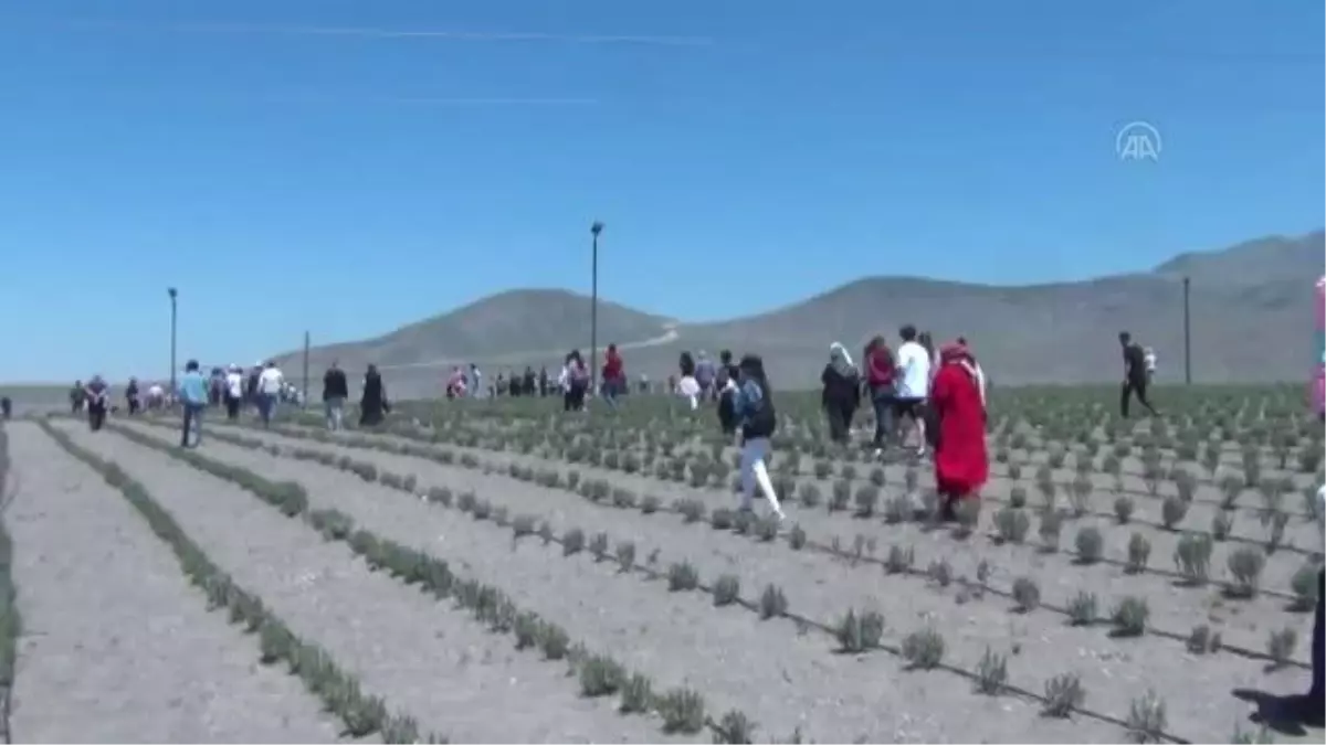 Karapınar\'da Göktepe, Acıgöl, Lavanta Bahçesi Uçuş Festivali düzenlendi