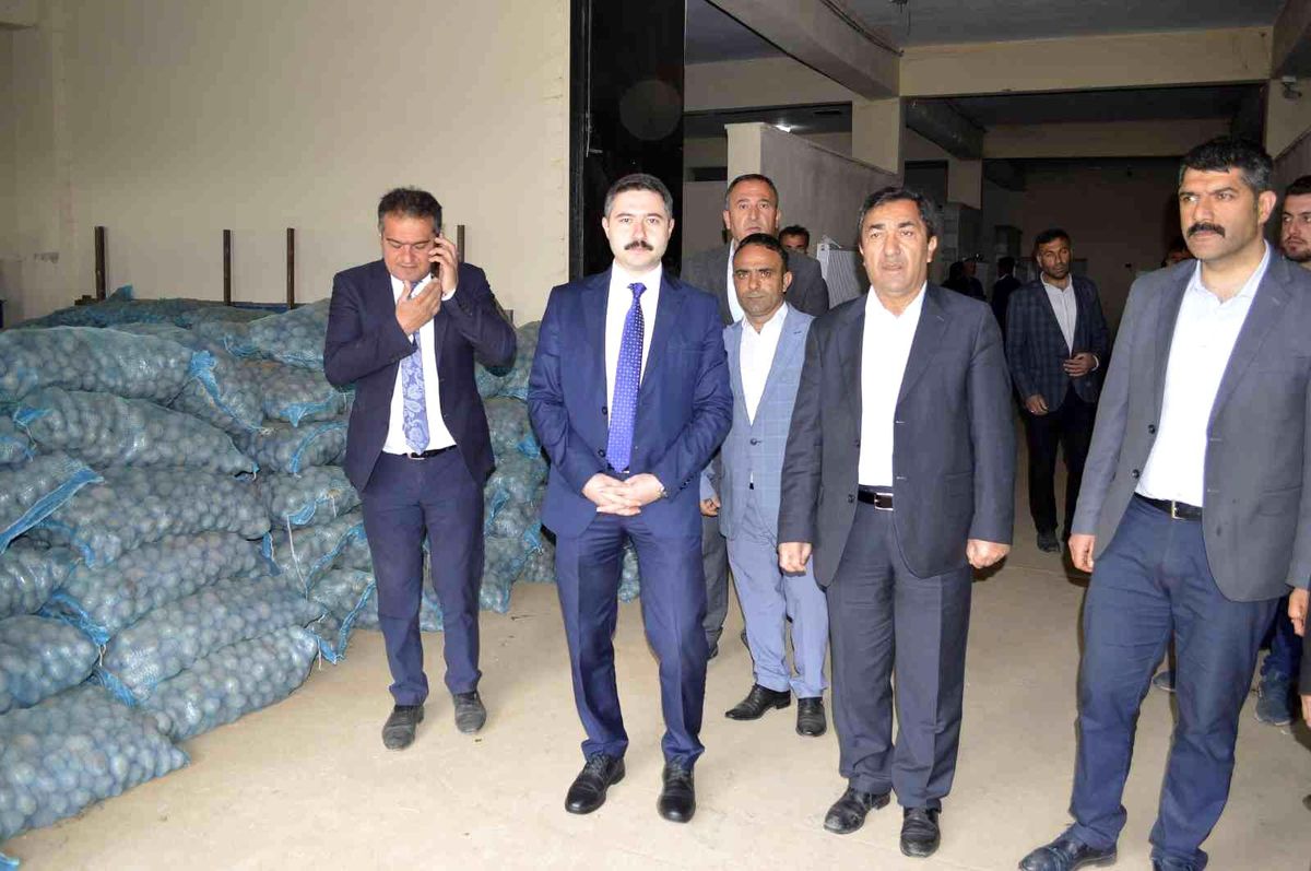 Erzurum\'da 75 ton patates tohumu dağıtıldı