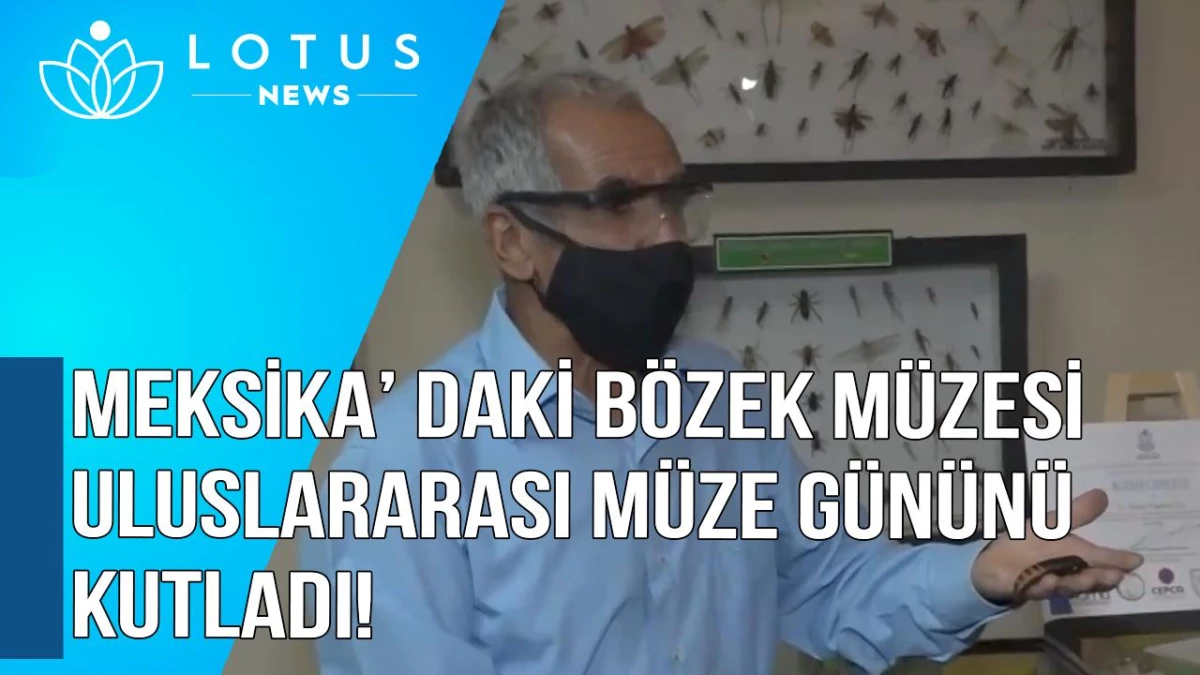 Video: Meksika\'daki Böcek Müzesi, Uluslararası Müze Günü\'nü Kutladı