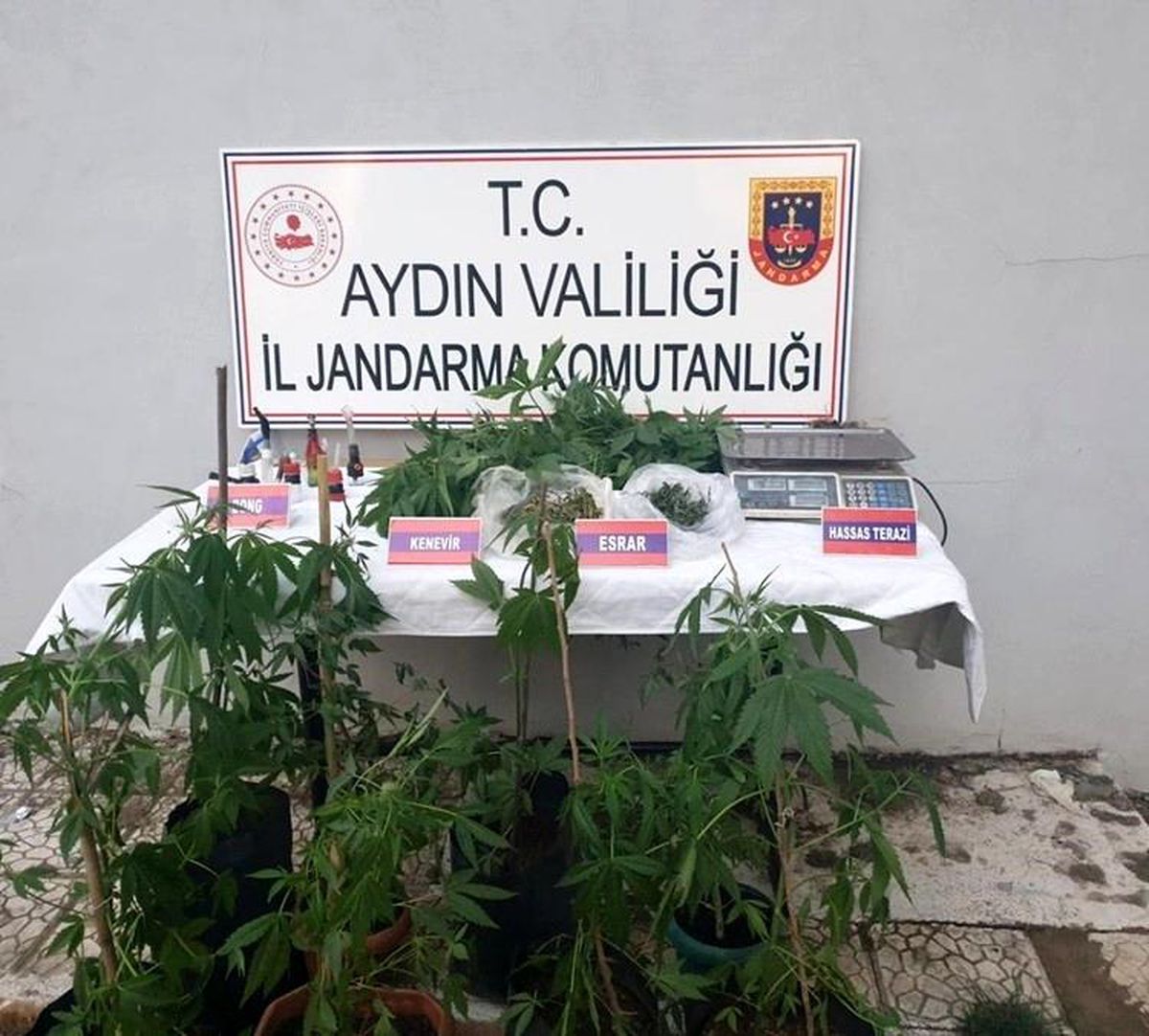 Aydın\'da bir haftada 59 şüpheliye uyuşturucudan işlem yapıldı