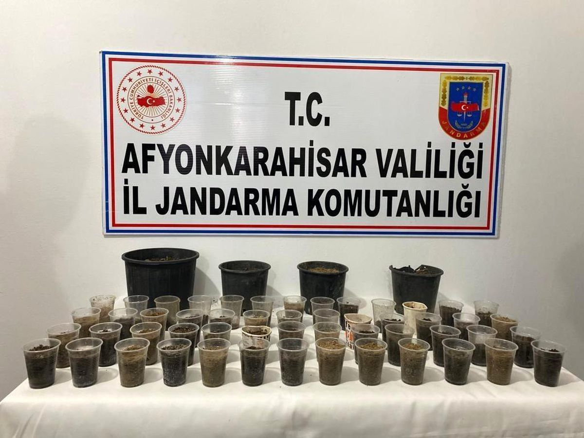 Devriye gezen ekipler çiçek saksısında kenevir buldu
