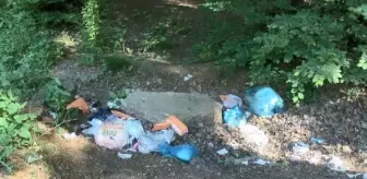 (Ek bilgiyle) Belgrad Ormanı'nı çöplüğe çevirdiler