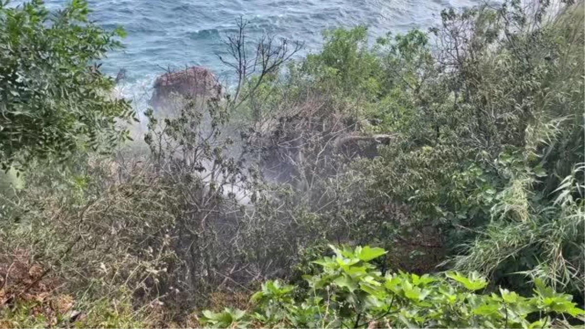 Falezlerdeki yangın itfaiye ekiplerince söndürüldü