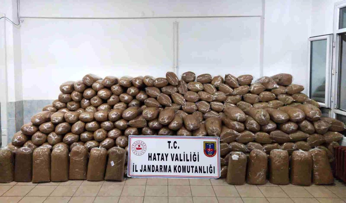 Hatay\'da 2 ton kaçak tütün ele geçirildi