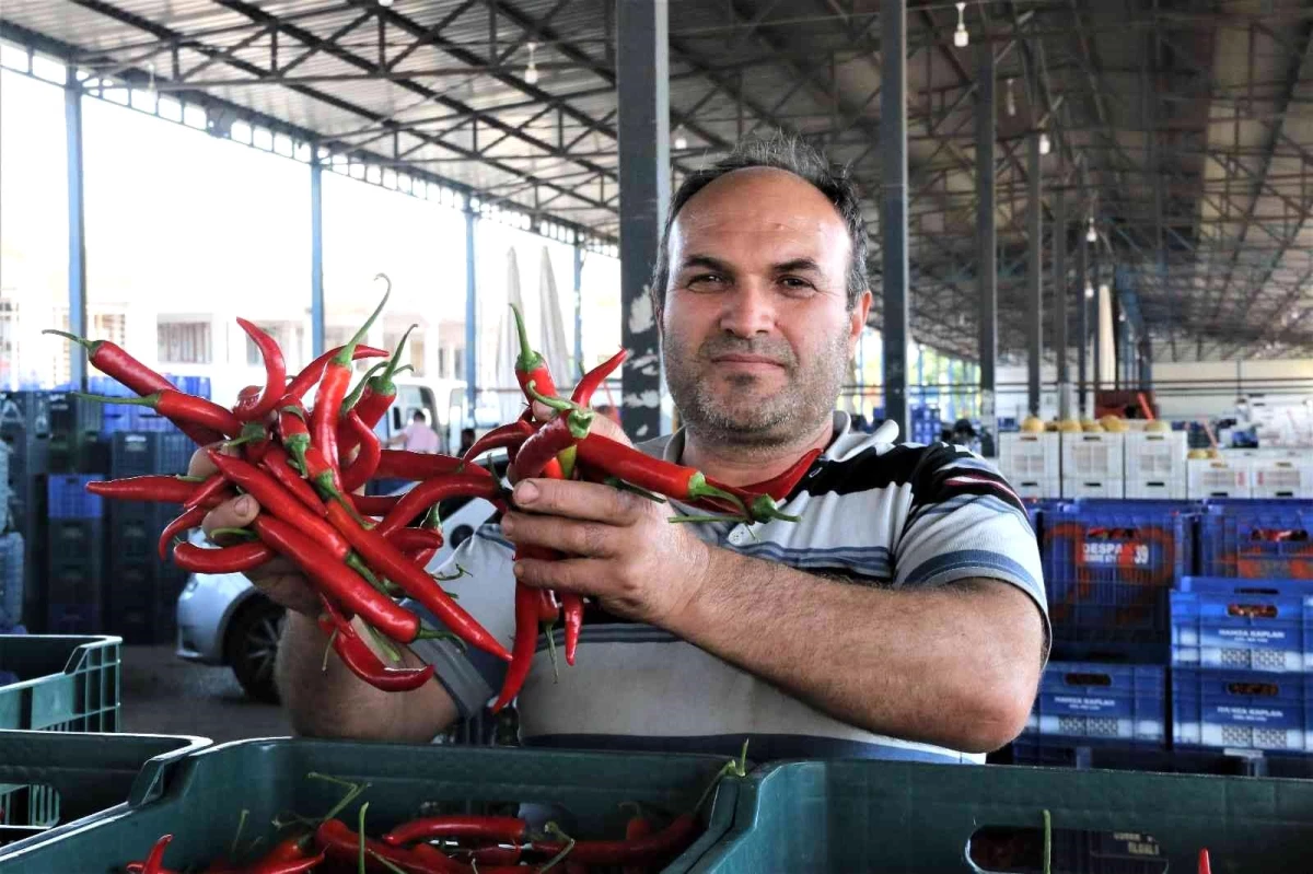 Havaların ısındığı Antalya halinde sebze fiyatları geçen haftalara göre yarı yarıya düştü