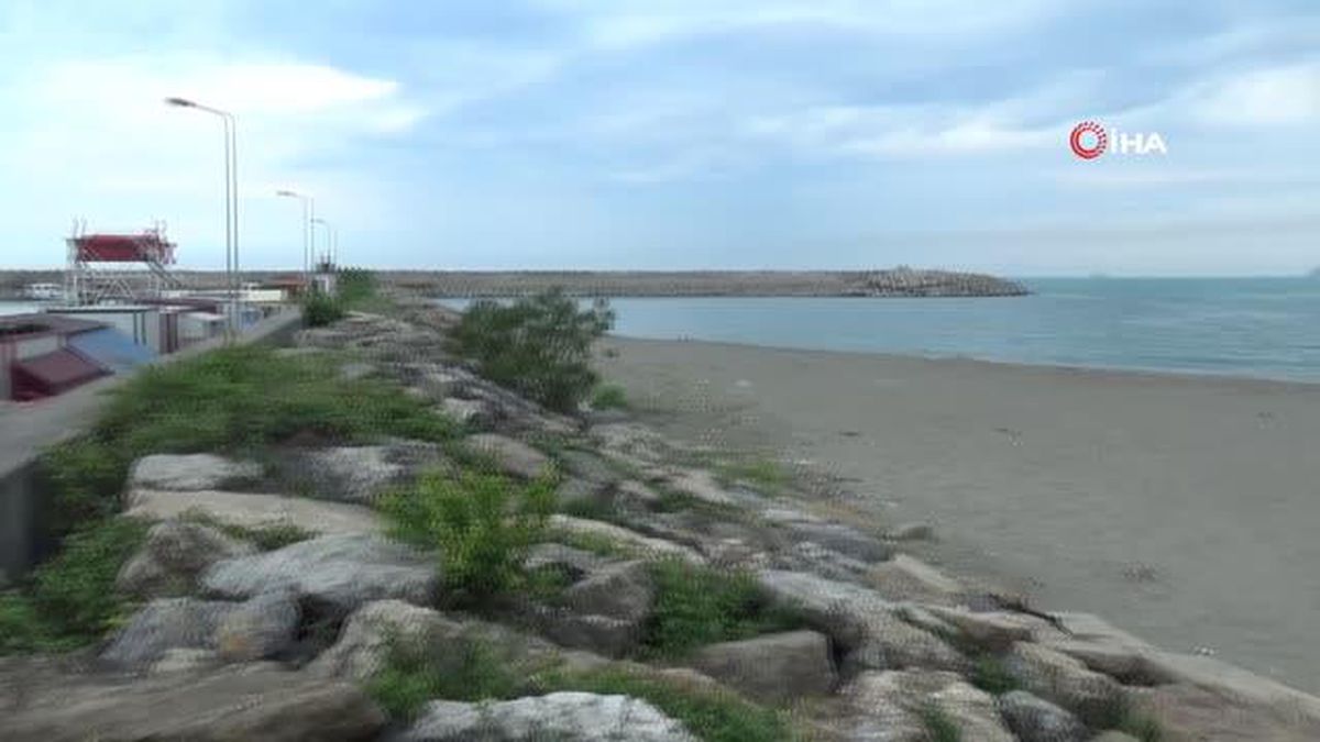 Sahildeki hayvan ölüleri vatandaşı tedirgin etti