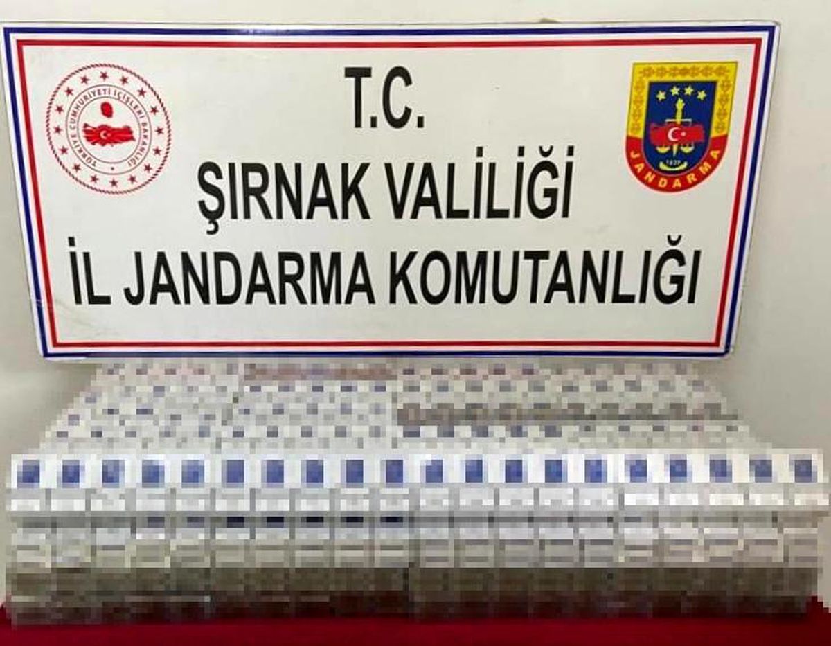 Şırnak'ta kaçakçılık ve asayiş operasyonu: 81 gözaltı