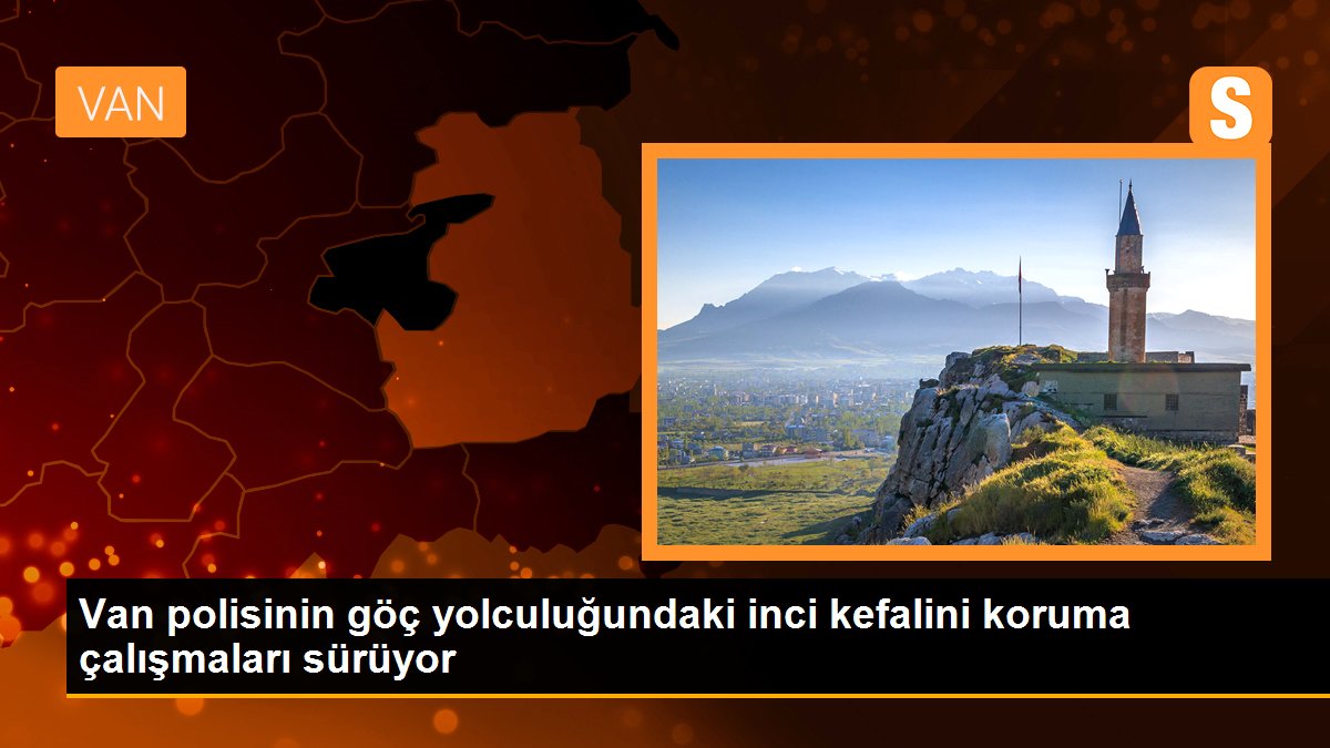 Van polisinin göç yolculuğundaki inci kefalini koruma çalışmaları sürüyor