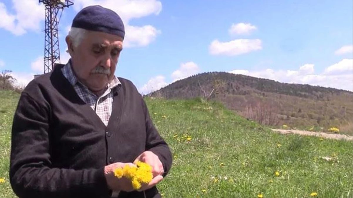 Kastamonu\'da yaşlı adam, evinin bahçesine gömülen eşini yalnız bırakmamak için 10 yıldır köyünü terk etmiyor