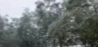 3 bin rakımlı mahalle mayısta yağan karla beyaza büründü