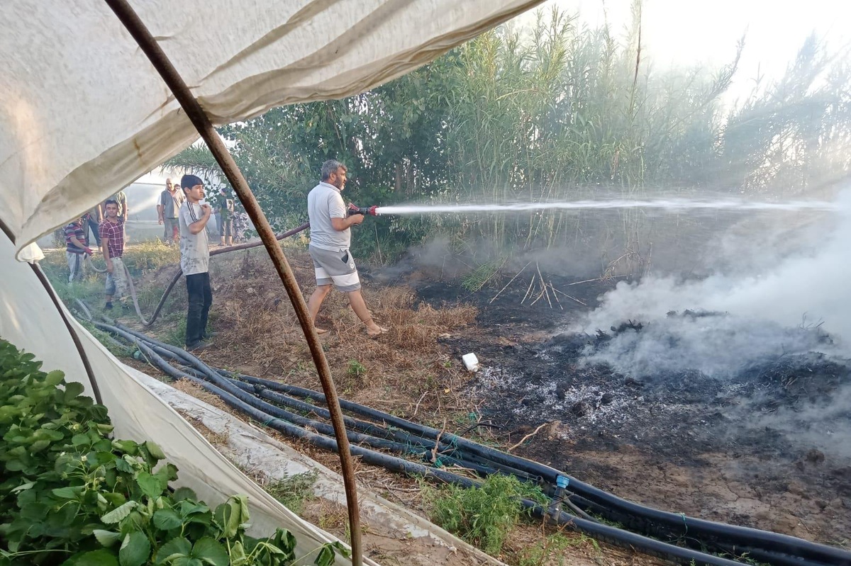 Antalya\'da sazlık alanda çıkan yangın seralara zarar verdi