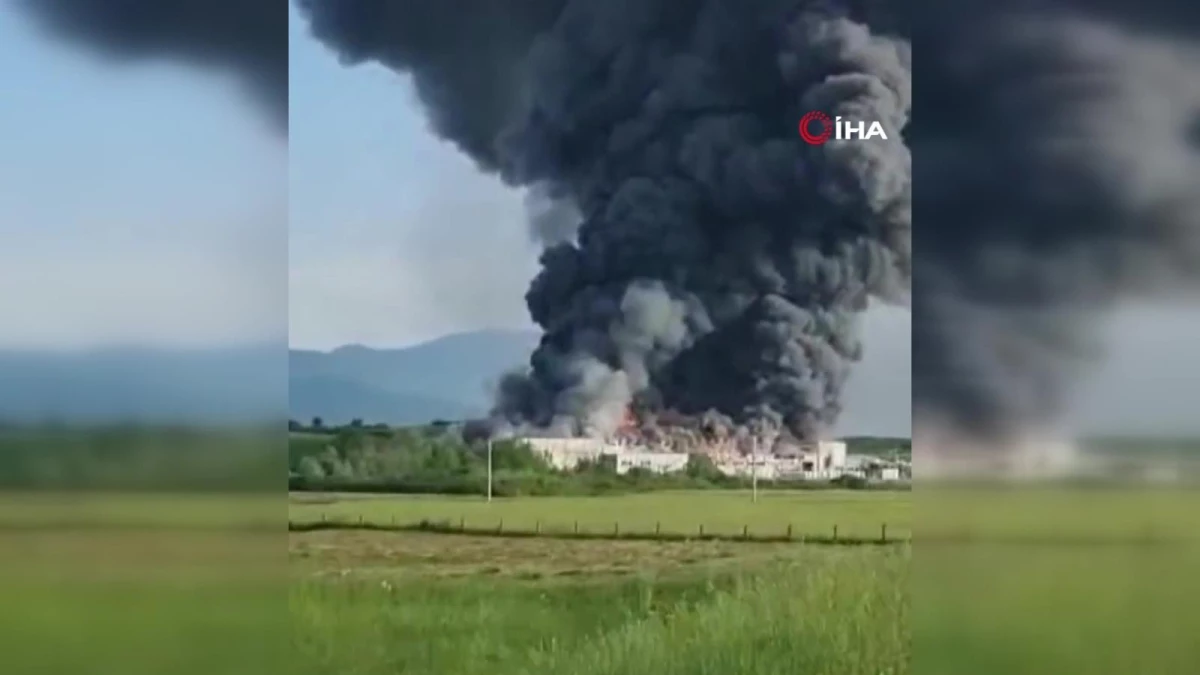 Bosna Hersek\'te strafor üretim fabrikasında yangın