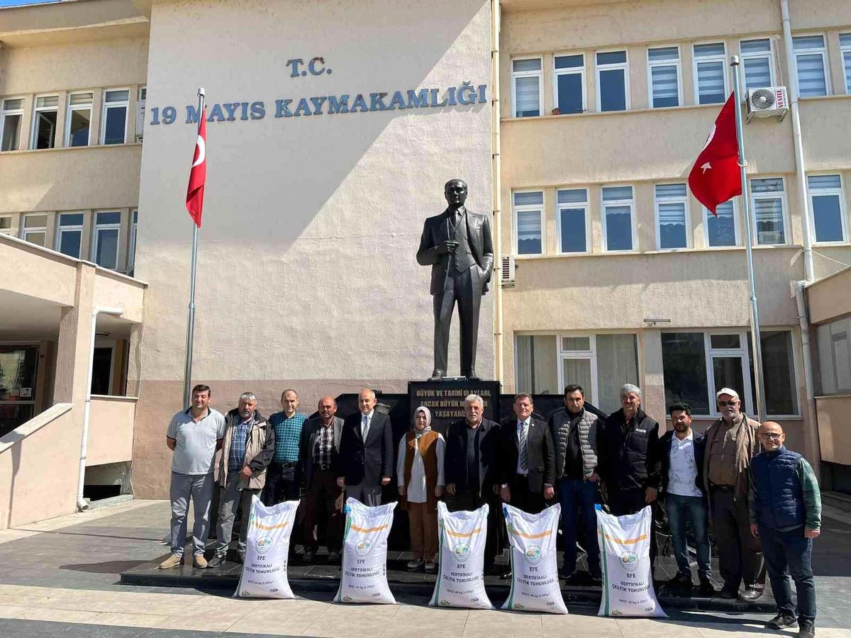 Çiftçilere hibe destekli çeltik tohumu