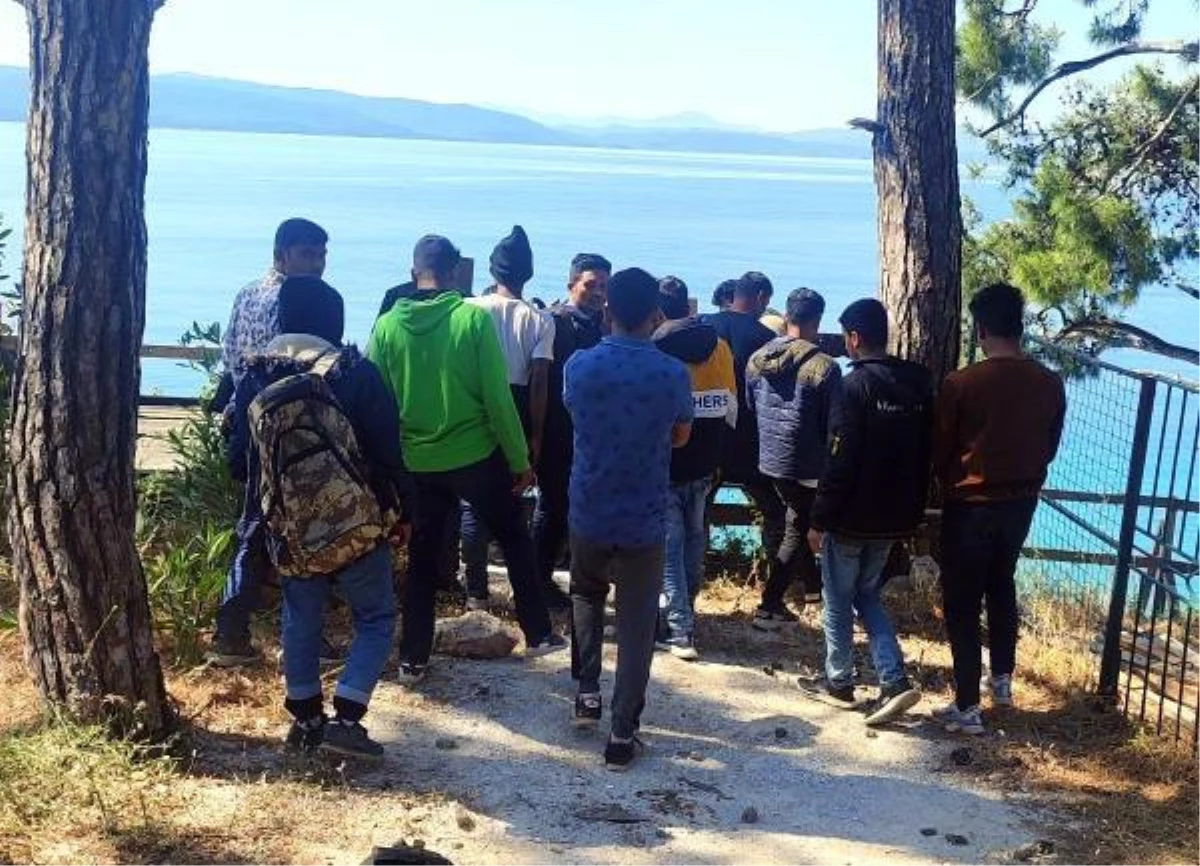 Muğla\'da ormanda 62 kaçak göçmen yakalandı
