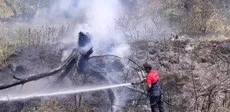 Nusaybin'de ağaçlık alanda çıkan yangın büyümeden söndürüldü