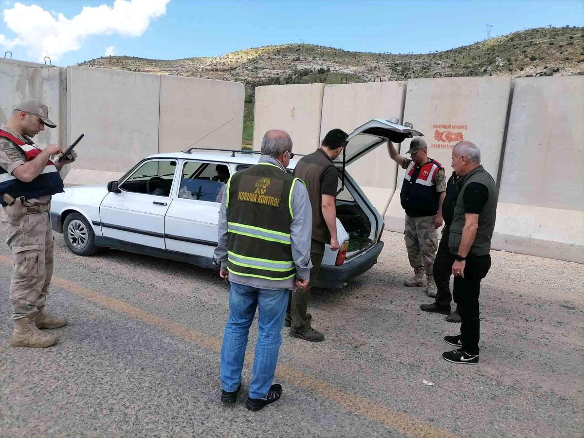 Siirt\'te kaçak avlananlara yönelik denetim yapıldı