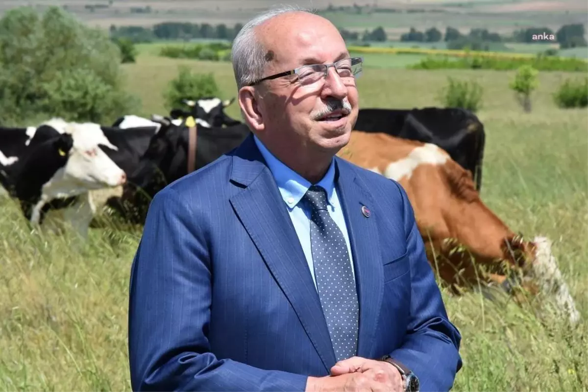 Tekirdağ Büyükşehir'in Mera Islah Projesi, Üreticinin Yüzünü Güldürmeye Devam Ediyor