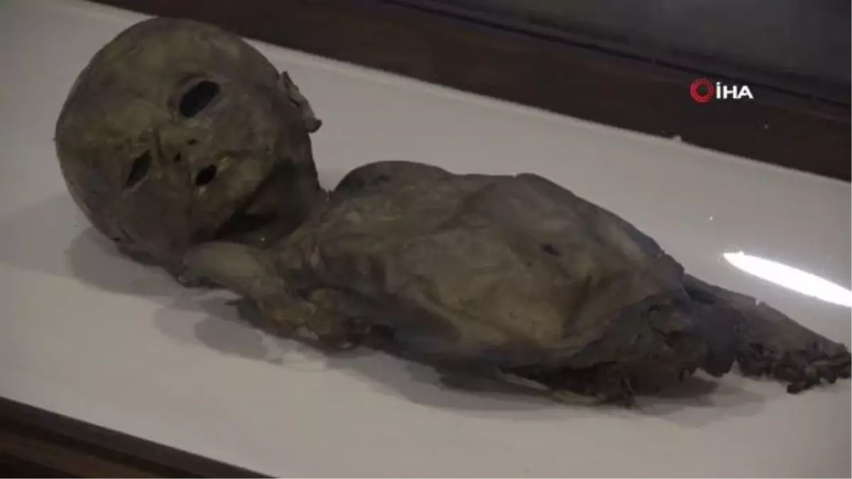 Türkiye'nin en büyük mumya ailesi