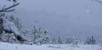 Etkili olan kar, kışı aratmadı (2)