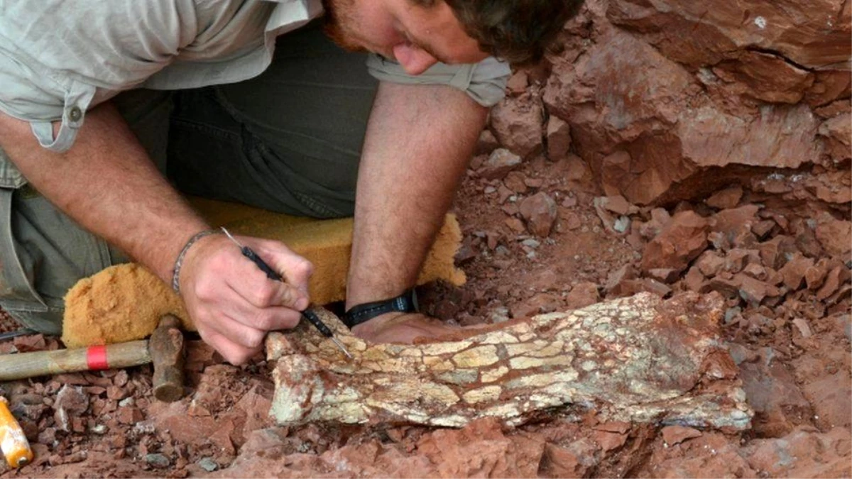 86 milyon yıl önce yaşamış \'Ölüm Ejderhası\'na ait fosil kalıntılar bulundu