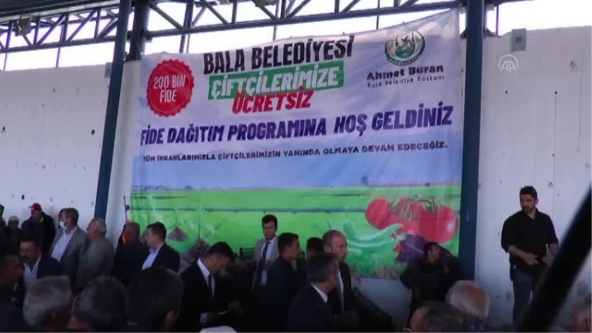 Bala Belediyesi 150 bin sebze fidesi dağıttı