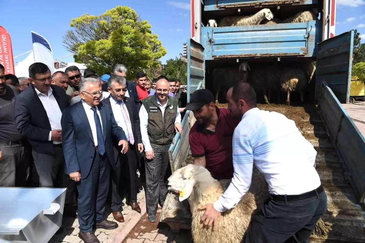 Başkan Büyükkılıç, 13 milyon TL\'lik projede 3 bin 200 adet küçükbaş hayvan dağıttı