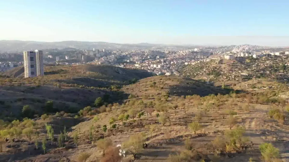 Büyükelçi Eşleri, Çankaya Belediyesi'nce Yapımı Süren Bademlidere Kent Ormanı'na Fidan Dikti