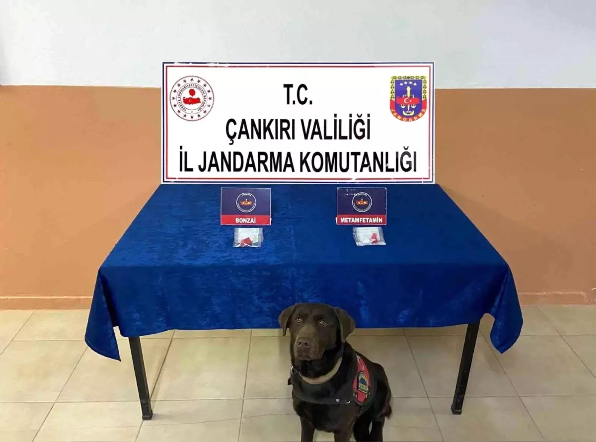 Çankırı merkezli 3 ilde uyuşturucu operasyonu: 5 gözaltı