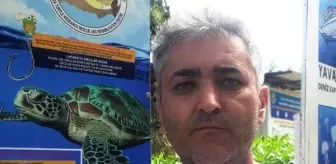 DEKAMER deniz kaplumbağalarını denizde de koruyacak