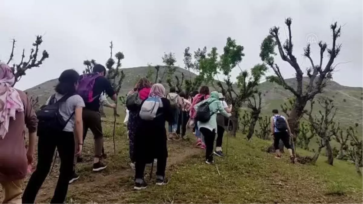 Doğaseverler Batman'daki ters laleleri görmek için Ziyaret Tepesi'ne tırmandı